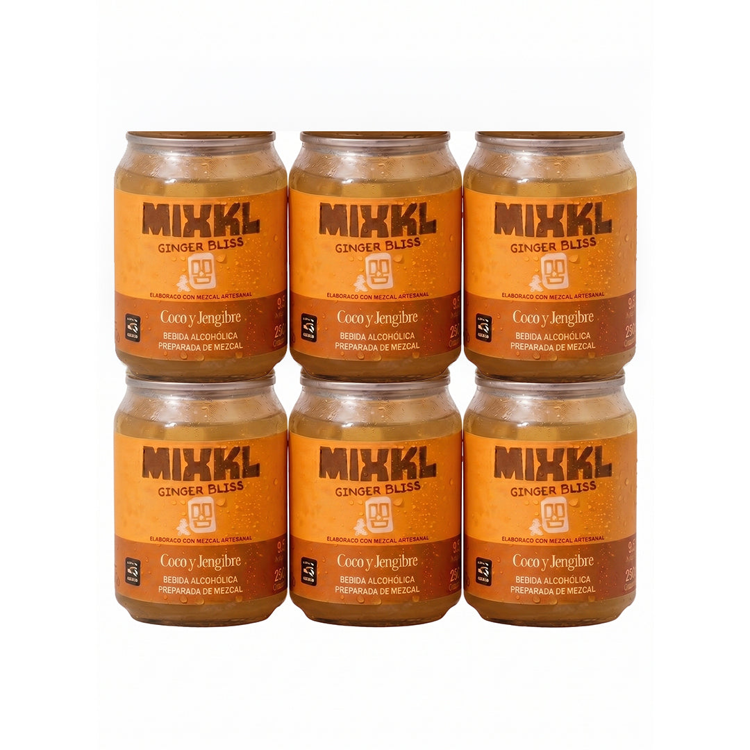 Ginger Bliss - 6 pack